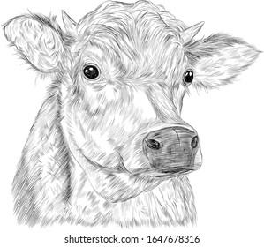 cow kind animal farm advertising milk  vector black and white coloring sketch