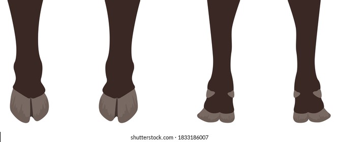 Cow legs and distortion. Vector illustration