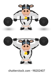 Cow Lifting Weights. Drinking Milk Makes You Strong