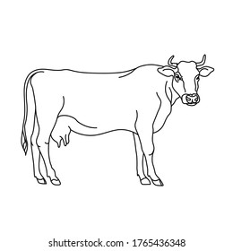 Cow line drawing. Minimalistic style for logo, icons, emblems, template, badges. Isolated on white background.