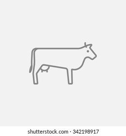 Cow line icon for web, mobile and infographics. Vector dark grey icon isolated on light grey background.