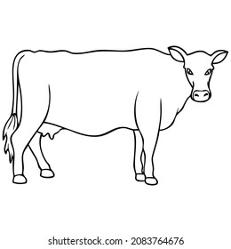 Cow Line Vector Illustrationisolated On White Stock Vector (Royalty ...