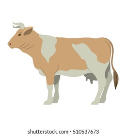 Cow livestock animal design