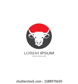 Cow logo vector illustration template
