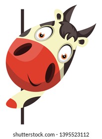 Cow looking behind wall, illustration, vector on white background.