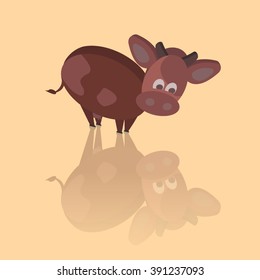 A cow looks at his reflection