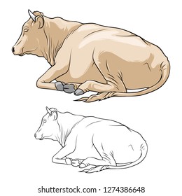 Cow Lying Down. Cow in lines. Cow on white background. Vector