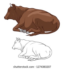 Cow Lying Down. Cow Ore in lines. Cow on white background.