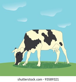 Cow in the meadow