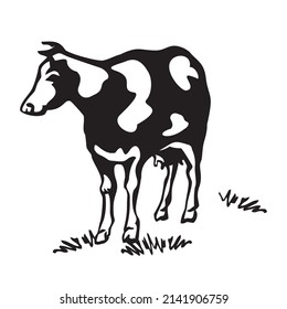 Cow in the meadow. Production of natural milk.