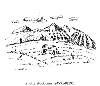 Cow in the meadow. Rural landscape with fields.