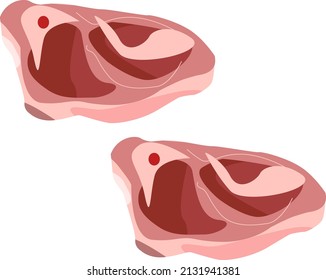 Cow meat, illustration, vector on a white background.