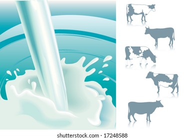 cow milk