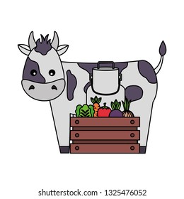 cow milk can and vegetables farm