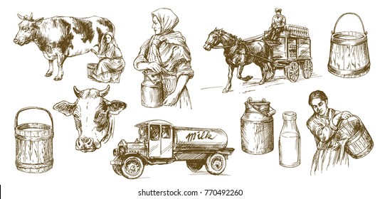 Cow, Milk, Dairy Product. Set Of Hand Drawn Illustration.