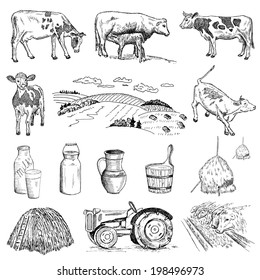 Cow And Milk. Hand Drawing Set Of Vector Sketches