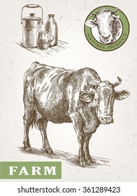 cow and milk products