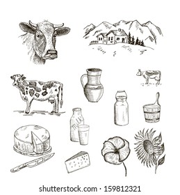 cow and milk. set of vector sketches