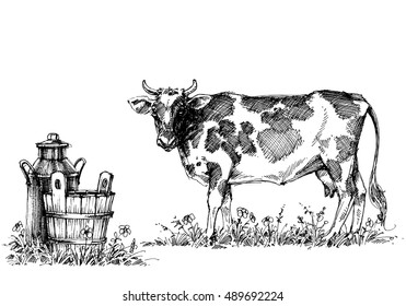 Cow and milk vector set