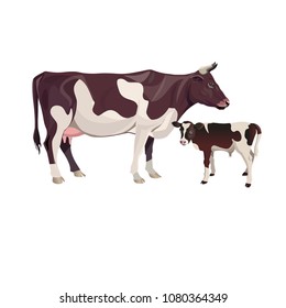 Cow mother with baby calf. Vector illustration isolated on white background