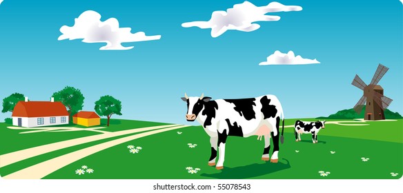 cow on grass