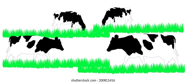  cow on green field vector