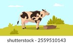 Cow on green pasture. Farm animal eating grass. Grazing cattle, livestock agricultural industry. Dairy products, meat, beef production. Flat vector illustration.