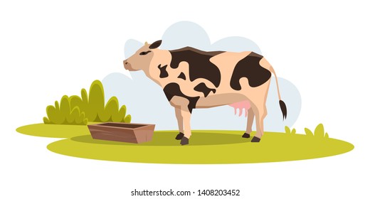 Cow on green pasture flat vector illustration. Farm animal eating grass. Grazing cattle, livestock agricultural industry. Dairy products, meat, beef production. Country life in rural area