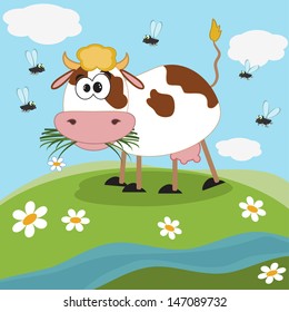 Cow on the meadow