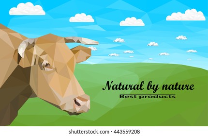 Cow on meadow
