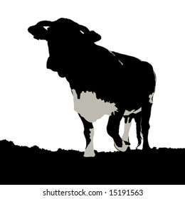cow on meadow, vector illustration