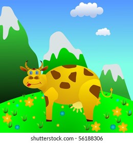 cow on a mountain meadow