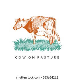 Cow On Pasture. Vector Image. Illustration in orange and green color.