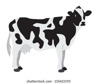 Cow on a white background