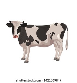 Cow on a white background. Vector graphics