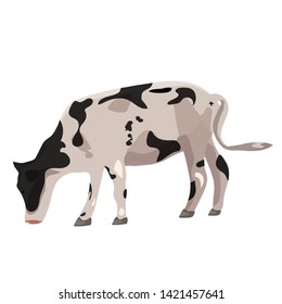 Cow on a white background. Vector graphics