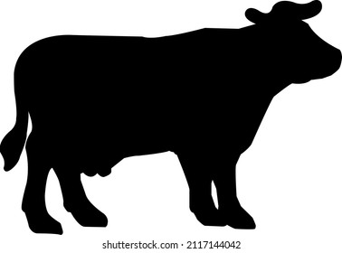 Cow on a white background (vector image)