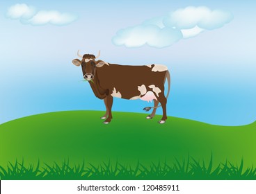 Cow over spring green meadow.The rural landscape