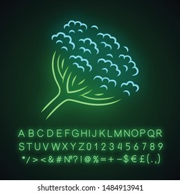 Cow parsnip neon light icon. Hogweed flower. Herbaceous plant. Heracleum maximum. Indian celery. Wildflower, weed. Spring blossom. Glowing sign with alphabet, numbers. Vector isolated illustration