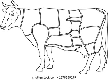 cow parts in sections