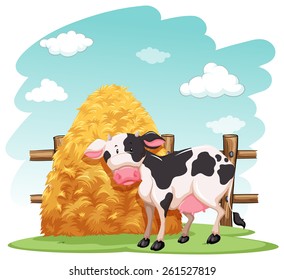 Cow and a pile of haystack near the wooden fence on a white background