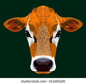 cow portrait