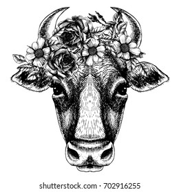 Cow portrait with floral wreath. Hand drawn vector illustration. Fashion animal for your design.