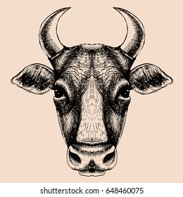 Cow portrait. Hand drawn vector illustration. Logo for your farm or other design.