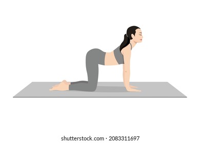 Cow Pose, Beautiful girl practice Bitilasana. Young attractive woman practicing yoga exercise. working out, black wearing sportswear, grey pants and top, indoor full length, calmness and relax.