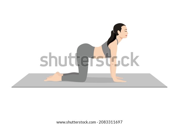 Cow Pose, Beautiful girl practice Bitilasana.\
Young attractive woman practicing yoga exercise. working out, black\
wearing sportswear, grey pants and top, indoor full length,\
calmness and relax.