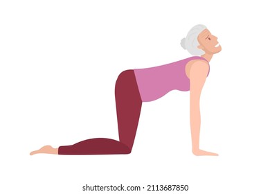 Cow Pose. Senior woman doing yoga. Woman in sportswear doing floor exercises on floor. Elderly Women healthy lifestyle concept. Active lifestyle and health care. Bitilasana in old age..