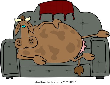 Cow Potato