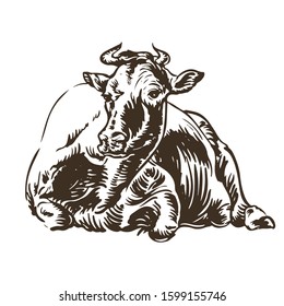 Cow pretty and happily lies vector engraving style