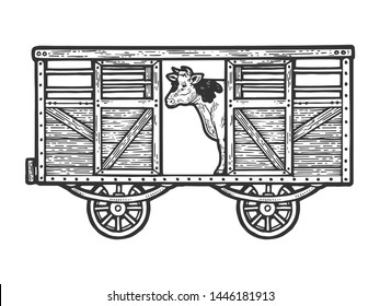 Cow in railway carriage train wagon sketch engraving vector illustration. Scratch board style imitation. Hand drawn image.